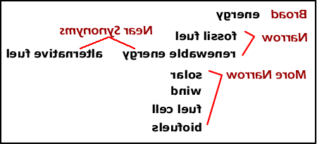 broader 和 narrower terms